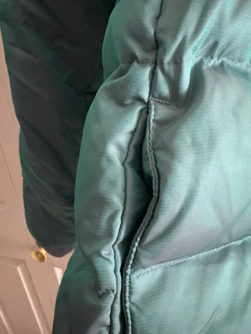 LIKE NEW, Eddie Bauer girls chameleon DOWN parka, size XL (16)
